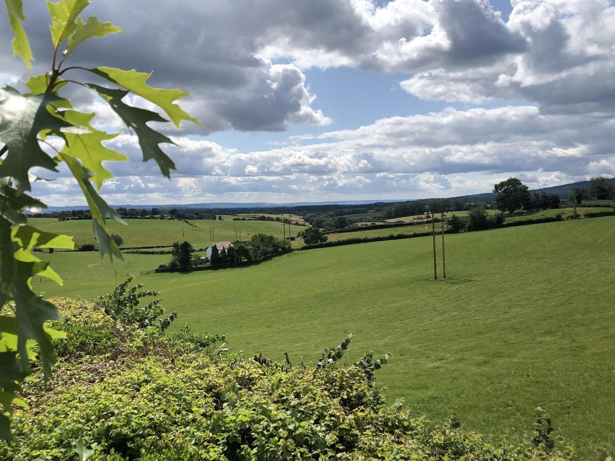 Betula Views Studio Newent Exterior photo